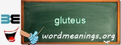 WordMeaning blackboard for gluteus